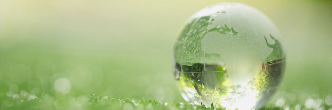 Meeting the Sustainability Challenge in CE Packaging
