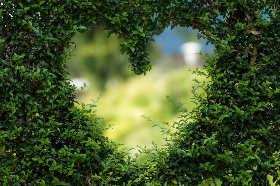 Love the Earth, Get Creative, Be Austere!